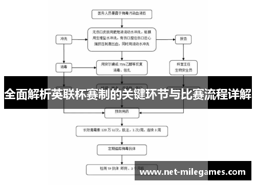 全面解析英联杯赛制的关键环节与比赛流程详解