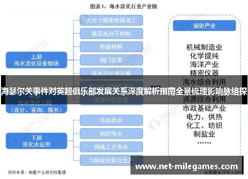 海瑟尔关事件对英超俱乐部发展关系深度解析指南全景梳理影响脉络探 海瑟尔关事件对英超俱乐部发展关系深度解析指南全景梳理影响脉络探